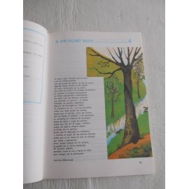 Libro de Texto, Lenguaje Básico Viva 5º. Vicens Básica. EGB. 1980