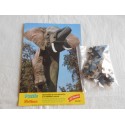 Puzle puzzle Pelikan 42 piezas. Elefantes