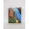 Lote de 15 cromos Colección WWF Animales Salvaje. Panini.