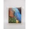 Lote de 15 cromos Colección WWF Animales Salvaje. Panini.