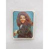 Lote de cromos albúm Fans. Ed. Este. 28 cromos.