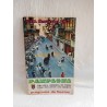 Programa de Fiestas de San Fermín. Pamplona. 1971. San Fermines.