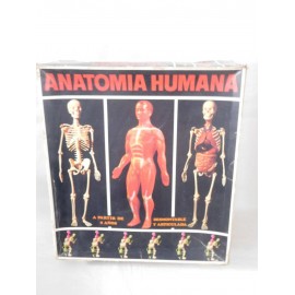 Juego Anatomía Humana Serima. Equipo completo tres bandejas, instrucciones y peana. Años 70-80. Ref4