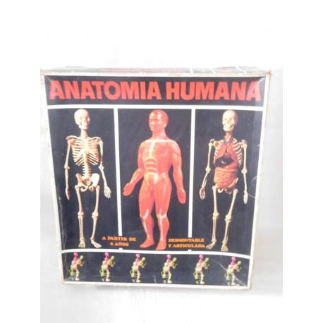 Juego de Anatomía Humana Serima. Equipo con instrucciones y peana. Años 70-80. Ref 4.