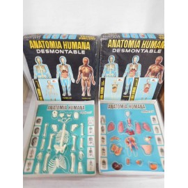 Equipo completo Anatomía humana Serima. Años 60.  Incluye los equipos 1, 2.