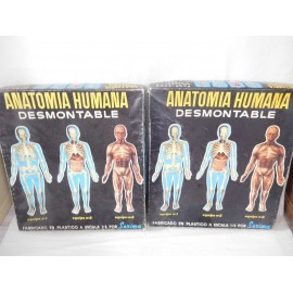 Equipo completo Anatomía humana Serima. Años 60.  Incluye los equipos 1, 2. Ref 2