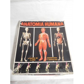 Juego de Anatomía Humana Serima. Equipo con instrucciones y peana. Años 70-80. Ref 3.