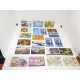 Lote de 19 tarjetas telefónicas la mayoría de España