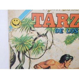 Tarzan nº 314 Ed. Novaro