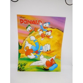 Bonita Lámina Poster para enmarcar original años 90. Ed. Beascoa. 1993. Disney. Donald